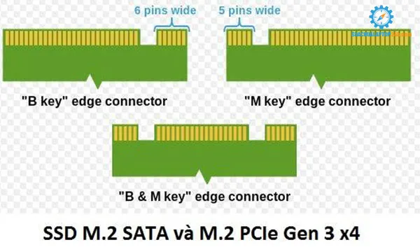  hướng dẫn phân biệt SSD chuẩn M2 sata và PCIe